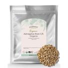 Chá de raiz de astrágalo seco Starwest Botanicals Organic 454g