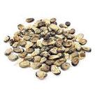 Chá Emburana Sementes 100g - Amburana Cearensis Chá Emburana Sementes 100g - Amburana Cearensis