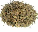 Chá Java (Orthosiphon stamineus) 100g - Benefícios para a Saúde Chá Java (Orthosiphon stamineus) 100g - Benefícios para a Saúde