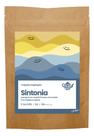 Chá Misto De Ervas - Blend Sintonia - 10g - Sachês