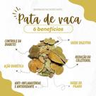 Chá Pata de Vaca 500 gramas Pura
