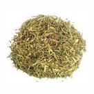 Chá Quebra Pedra (Phyllanthus niruri) 100g - Planta Medicinal Chá Quebra Pedra (Phyllanthus niruri) 100g - Planta Medicinal