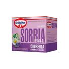 Chá sorria mais dr oetker sachê 12g c/ 10 unidades