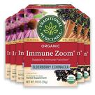 Chá Traditional Medicinals Immune Zoom Sabugueiro Equinácea 48 Sachês