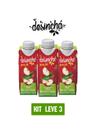 Chá verde desinchá pra já maça 250ml - kit 3 unid