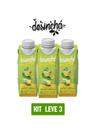 Chá verde desinchá prajá abacaxi c hortelã 250ml- kit 3 unid