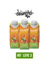 Chá verde desinchá prajá laranja e gengibre 250ml-kit 3 unid