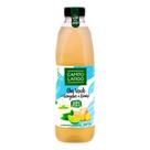 Chá Verde Gengibre E Limão Zero Calorias Campo Largo 900ml - 2 unidades