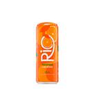 Chá Verde Tangerina Rio - 355ml