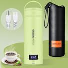 Chaleira Elétrica Portátil QRAGJBM - 450mL, 300W - Verde
