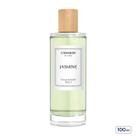 Chanson d eau jasmine edt - perfume feminino 100ml