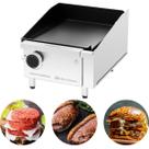 Chapa Comercial 1 Queimador 5mm 30x40 Marchesoni A Gás Inox