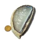 Chapa de Ágata Com Furo Pra Colar de Mesa 200 a 300g 10 a 11cm