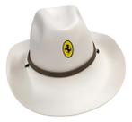 Chapéu cowboy adulto EVA festa acessório peão boiadeira Chapéu cowboy adulto EVA festa acessório peão boiadeira