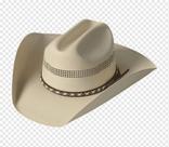 Chapeu cowboy