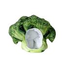 Chapéu: Cute Broccoli Head Vegetable Cosplay, fibra de poliéster