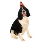 Chapéu De Bruxa Halloween Para Cachorros Chapéu De Bruxa Halloween Para Cachorros