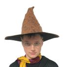 Chapéu de Bruxo Harry Potter Seletor