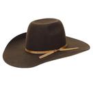 Chapéu de Cowboy Fabricado Em Feltro Marrom Texas Diamond 21132