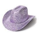 Chapéu de cowboy Spiderweb Purple EVA Composto Jeans Unissex