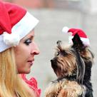 Chapéu De Natal Para Animais De Estimação, Chapéu De Papai Noel Para Gatos E Cães, Decoração De