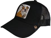 Chapéu masculino unissex ajustável Butchs Chapéu de caminhoneiro Snapback de malha