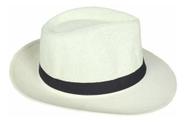 Chapéu Panama Aba Larga Praia Estilo Verao Unisex Nº 58 Chapéu Panama Aba Larga Praia Estilo Verao Unisex Nº 58