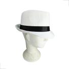 Chapeu Panama Basic Acessorio de Decoração e Passeio