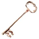 Chave Crânio Cobreada Strass Skull Key 19 cm Metal Proteção