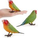Chaveiro Agapornis pet Realista para Amantes de Aves grande Chaveiro Agapornis pet Realista para Amantes de Aves grande