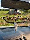 Chaveiro LongHorn De Resina Crânio Realista Para Carros Retrovisores