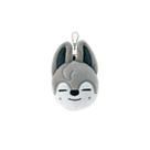 Chaveiro Skzoo Plush Stray Kids Doll Toy Idol Recheado Acessórios Para Coleção E Presente De Fãs