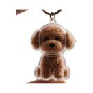 Chaveiro Transparente De Armazenamento De Pelos De Gato E Cachorro Em Estilo Cartoon, Presente