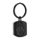 Chaveiro Urna para Cinzas de Pet RIPFEVURN com Pingente de Patinha para Cão e Gato