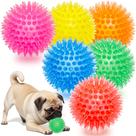 Chew Toys Label Squeaky Balls para cães, pacote com 6 unidades, dentição, TPR