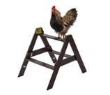 Chicken Perch New Age Pet ECOFLEX Medium A Frame Walnut
