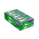 Chiclete de Menta sem Açúcar Trident 25.2g