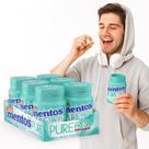 CHICLETE MENTOS PURE FRESH POTE 06X56g GOMA WHITERGREEN