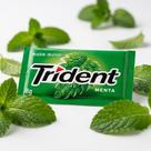 Chiclete Trident Display Caixa Com 21 Unidades Escolha O Sabor