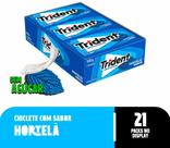 Chiclete Trident Hortela Display c/ 21 unidades