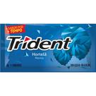 Chiclete trident sabor hortelã 8,5g - Kraft foods brasil