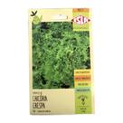 Chicória Crespa - 2.40gr de Sementes