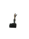 Chicote de radio PIONEER 16vias 2002 PI16-002