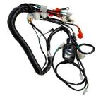 Chicote Eletrico Principal Moto AZ1 2024/25/26 Avelloz Original