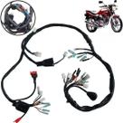 Chicote Principal Fiação Cbx 200 Strada 93 A 2003 Moto Honda