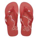 Chinelo Acostamento Masculino Casual Estampa Lobo 320929036