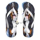 Chinelo Bernese cachorro