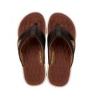 Chinelo Cartago Malta IV Dedo Masculino Bege Marrom Castor Chinelo Cartago Malta IV Dedo Masculino Bege Marrom Castor