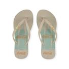 Chinelo Coca-Cola Shoes Bottle Colors Feminino Adulto Ref. CC4835 Chinelo Coca-Cola Shoes Bottle Colors Feminino Adulto Ref. CC4835