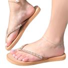 Chinelo de Dedo com Pedrarias Cacci 24000.24108/1